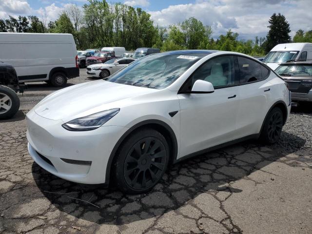  Salvage Tesla Model Y