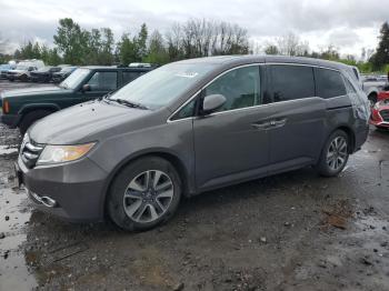  Salvage Honda Odyssey