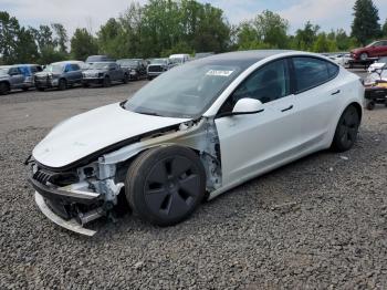  Salvage Tesla Model 3