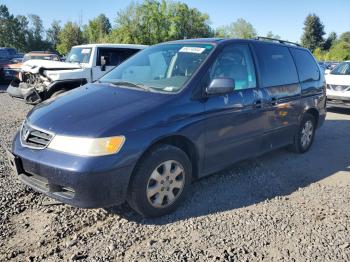  Salvage Honda Odyssey