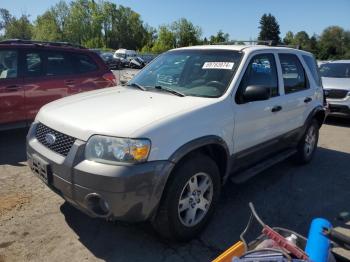  Salvage Ford Escape