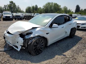  Salvage Tesla Model Y