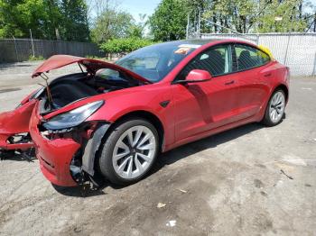  Salvage Tesla Model 3