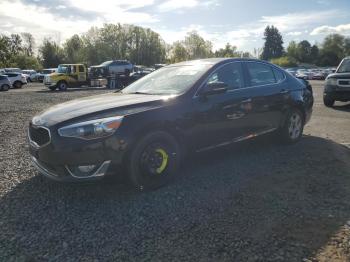  Salvage Kia Cadenza