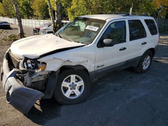  Salvage Ford Escape