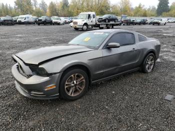  Salvage Ford Mustang