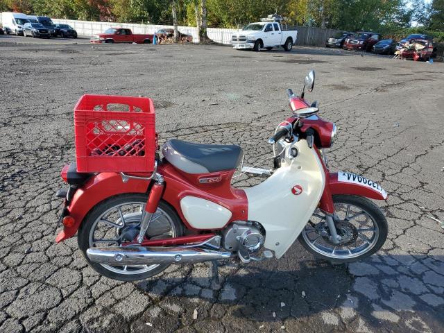  Salvage Honda Cub