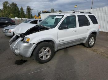  Salvage Ford Escape