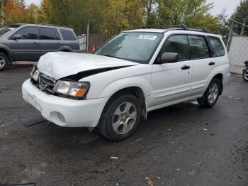  Salvage Subaru Forester