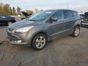  Salvage Ford Escape