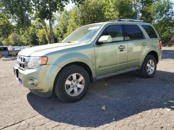  Salvage Ford Escape