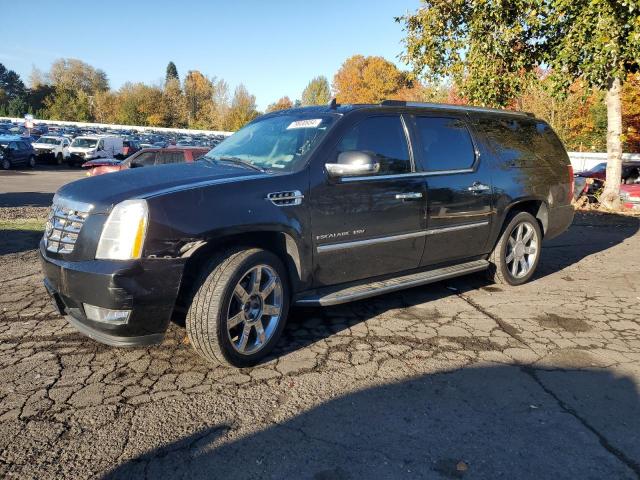  Salvage Cadillac Escalade