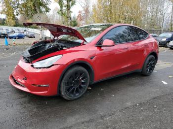  Salvage Tesla Model Y