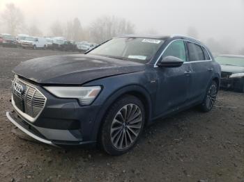  Salvage Audi e-tron