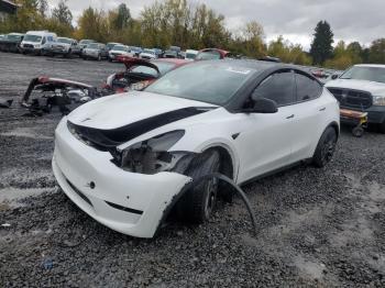  Salvage Tesla Model Y