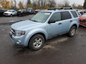  Salvage Ford Escape