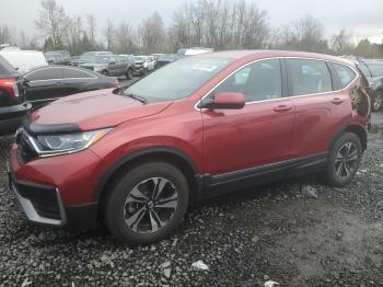  Salvage Honda Crv