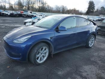  Salvage Tesla Model Y