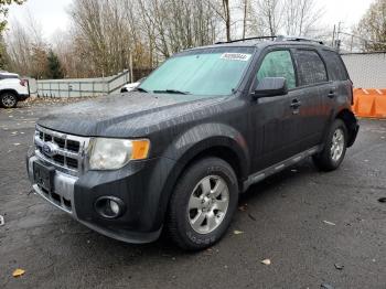  Salvage Ford Escape