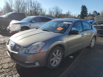  Salvage Nissan Maxima