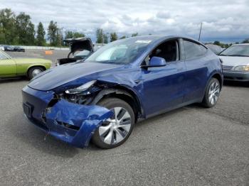  Salvage Tesla Model Y