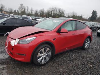  Salvage Tesla Model Y