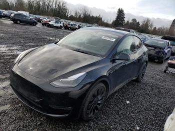  Salvage Tesla Model Y