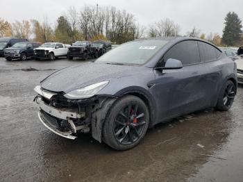  Salvage Tesla Model Y