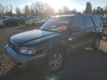  Salvage Subaru Forester