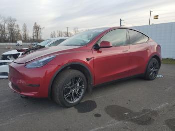  Salvage Tesla Model Y