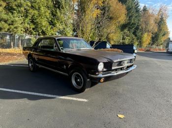  Salvage Ford Mustang