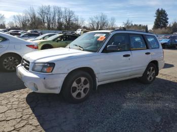  Salvage Subaru Forester