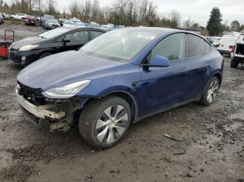  Salvage Tesla Model Y