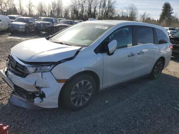  Salvage Honda Odyssey