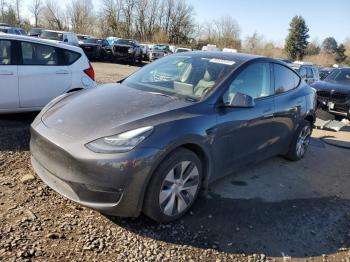  Salvage Tesla Model Y