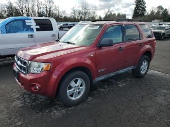  Salvage Ford Escape