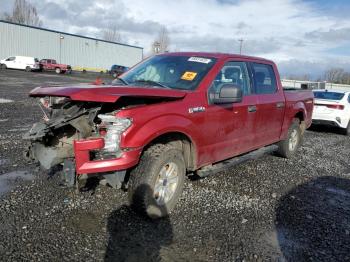  Salvage Ford F-150