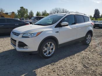  Salvage Ford Escape