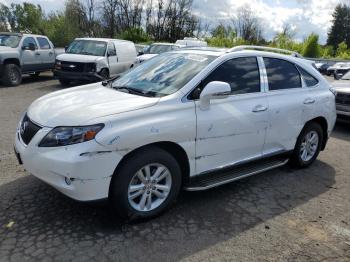  Salvage Lexus RX