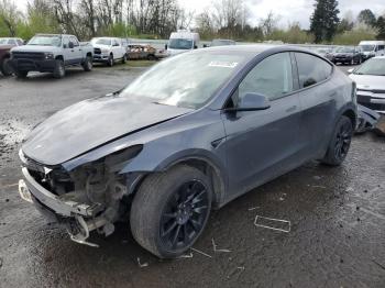  Salvage Tesla Model Y