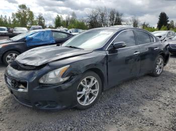  Salvage Nissan Maxima