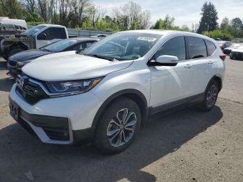  Salvage Honda Crv