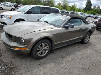  Salvage Ford Mustang