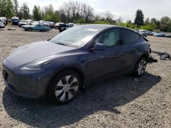  Salvage Tesla Model Y