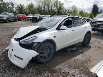  Salvage Tesla Model Y