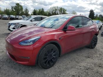  Salvage Tesla Model Y