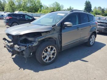  Salvage Ford Escape
