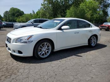  Salvage Nissan Maxima