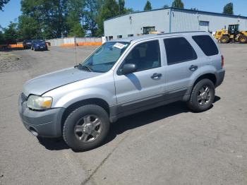  Salvage Ford Escape