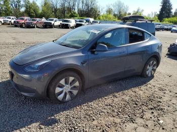  Salvage Tesla Model Y